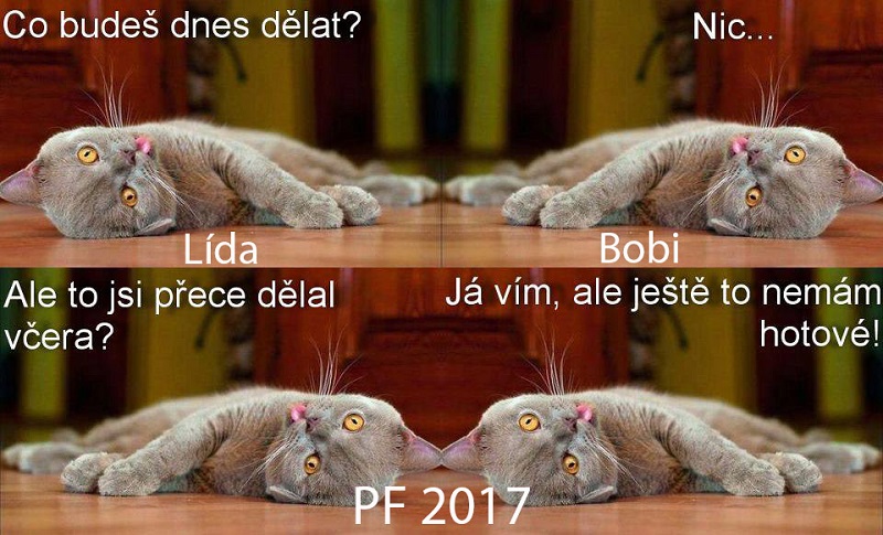PF 2017a.jpg